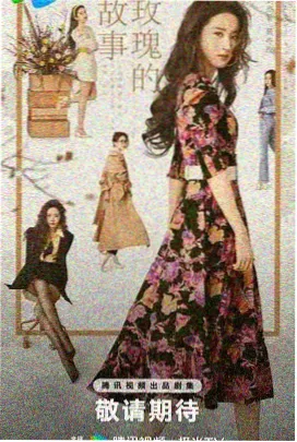 小视频在线看-离婚后我成了顶流剧照